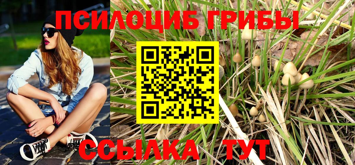 Псилоцибиновые грибы мицелий  Псилоцибиновые грибы Magic Shrooms  Вход с VPN  Лосино-Петровский 